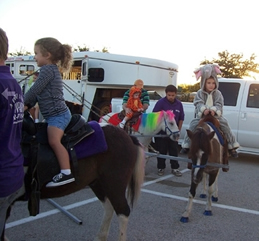 Pony Carousel